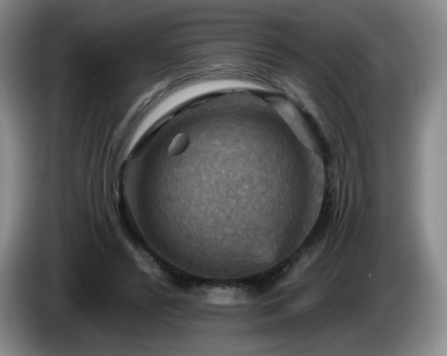 X0000085300400200703091437