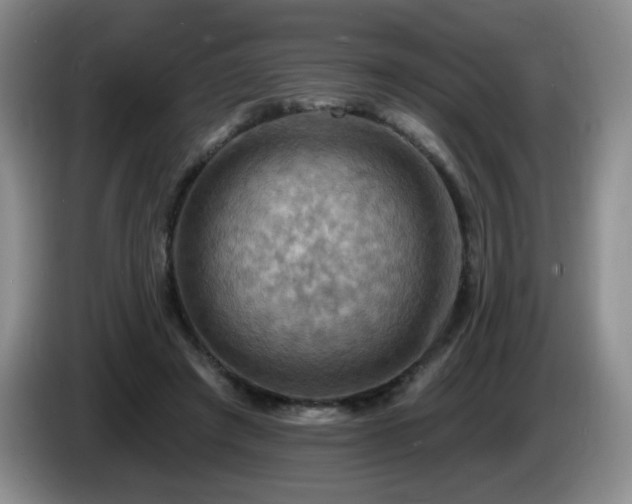 X0000085300401200703091437