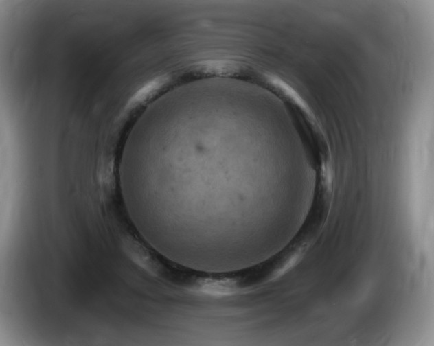 X0000085300403200703091437