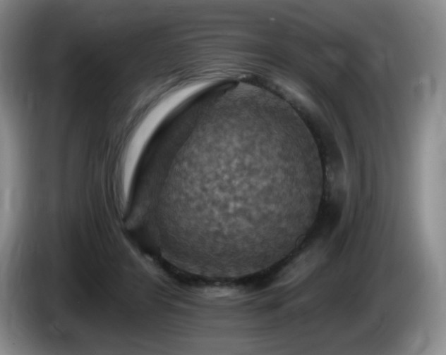 X0000085300404200703091437