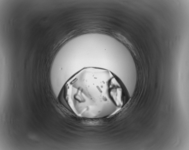 X0000085300405200703091437