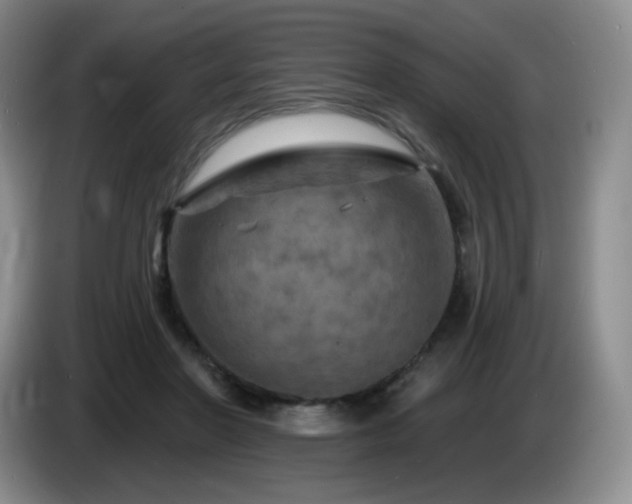 X0000085300406200703091437