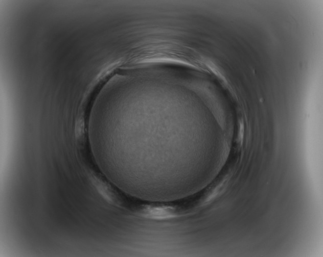 X0000085300407200703091437