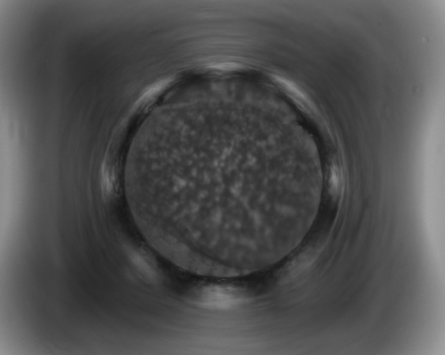 X0000085300408200703091437