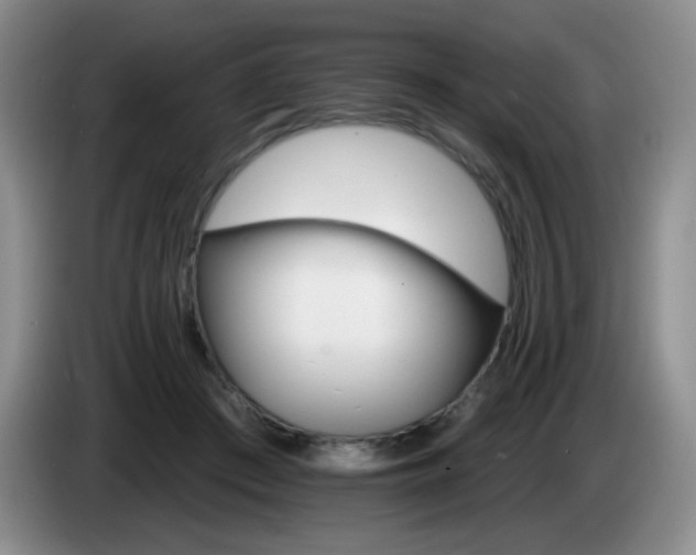 X0000085300409200703091437