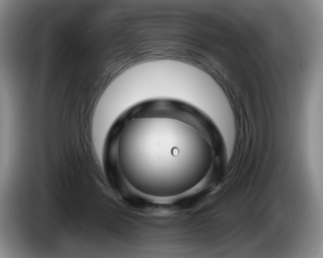 X0000085300412200703091437