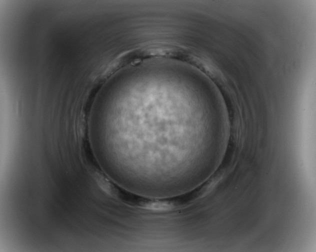 X0000085300413200703091437