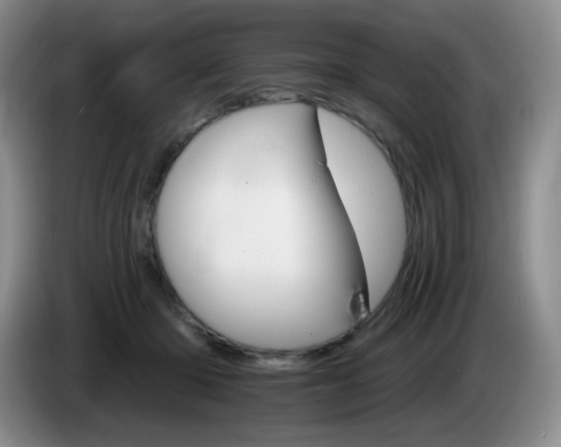 X0000085300414200703091436