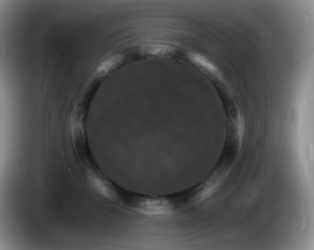 X0000085300415200703091436