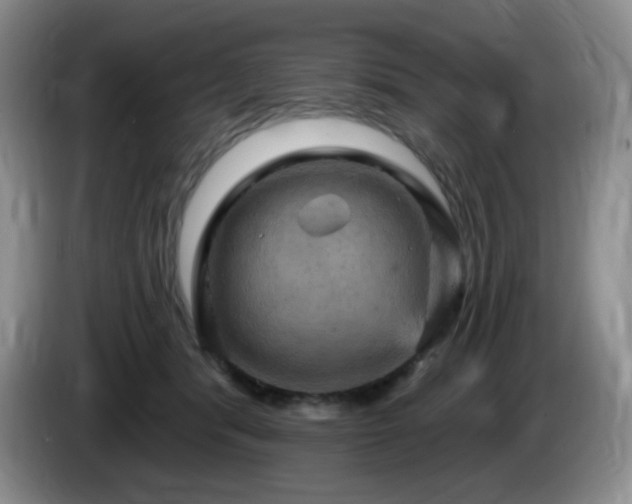 X0000085300416200703091436