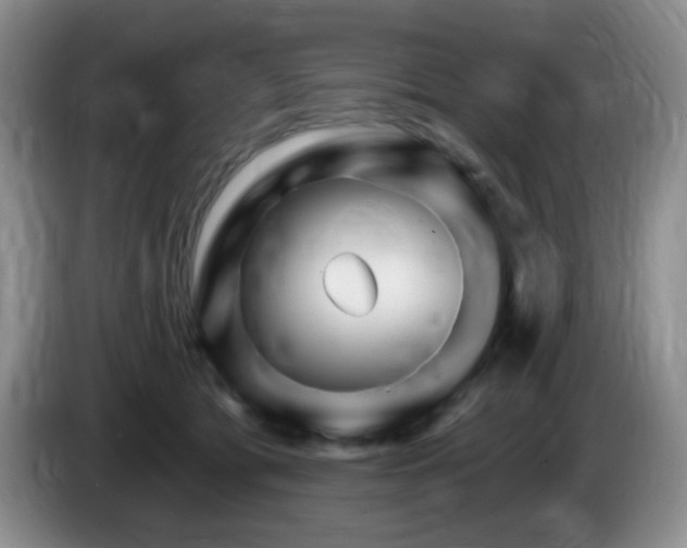 X0000085300417200703091436