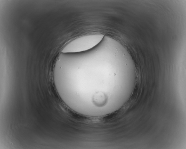 X0000085300418200703091436