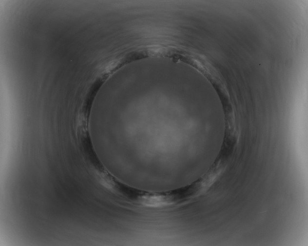 X0000085300419200703091436