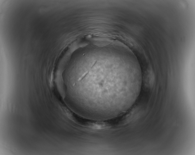 X0000085300420200703091436