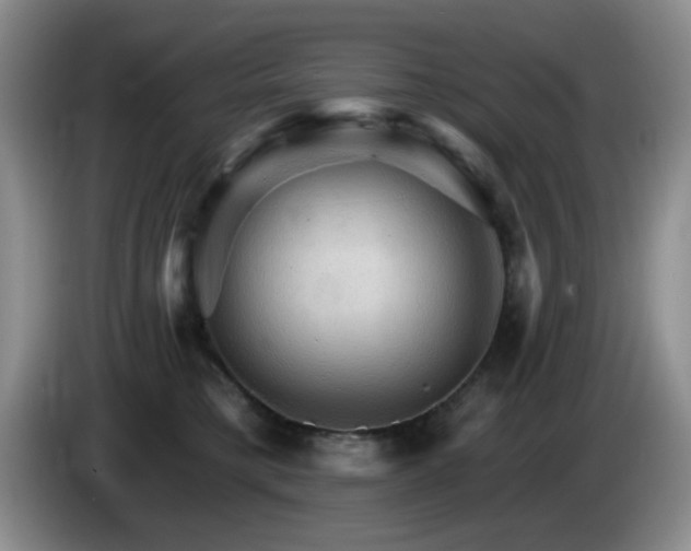 X0000085300421200703091436