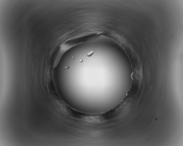 X0000085300422200703091436