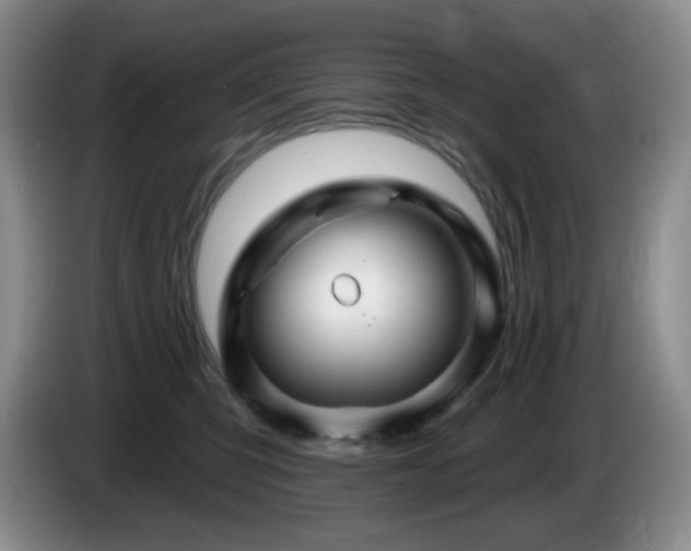 X0000085300423200703091436