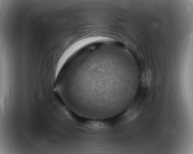 X0000085300424200703091436