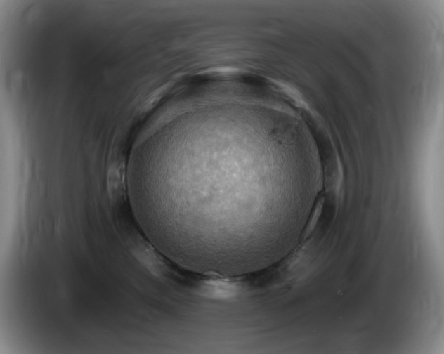 X0000085300425200703091436