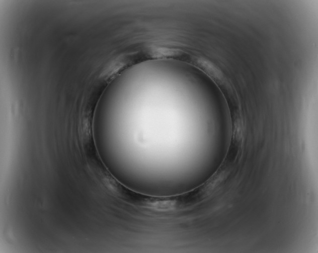 X0000085300426200703091436