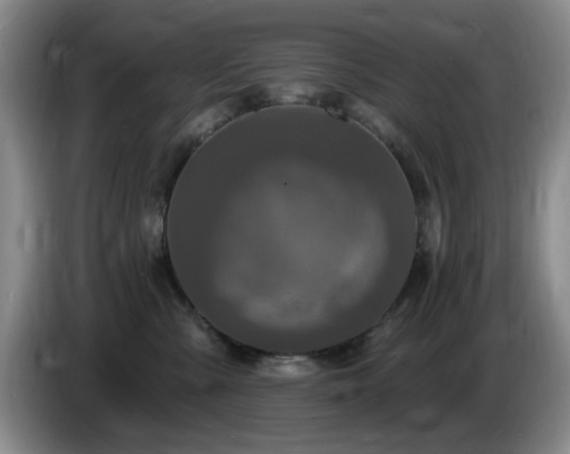 X0000085300427200703091436