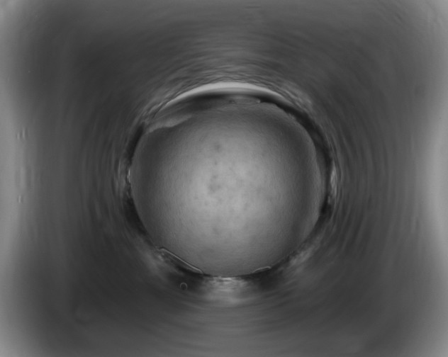 X0000085300429200703091436