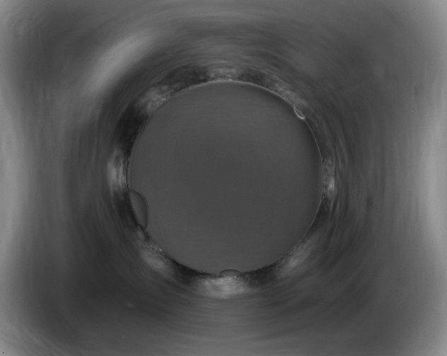 X0000085300431200703091436