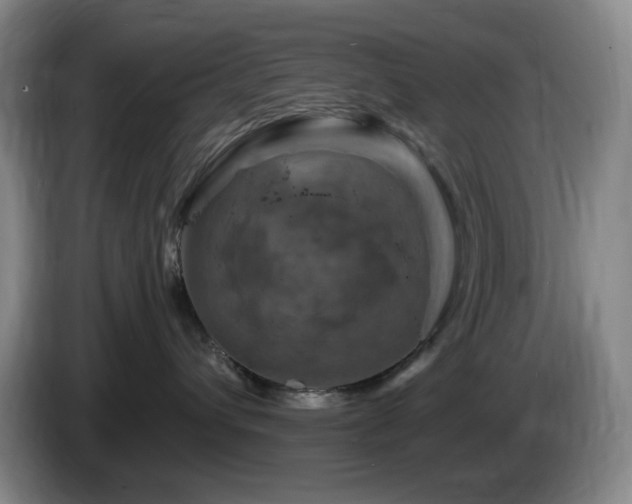 X0000085300432200703091436