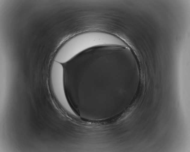 X0000085300434200703091435