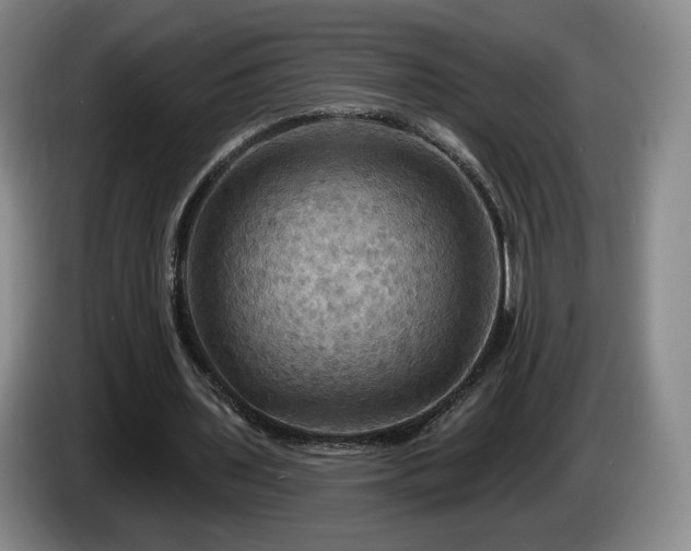 X0000085300435200703091435