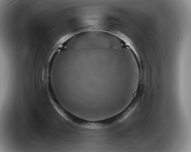 X0000085300437200703091436