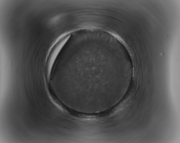 X0000085300438200703091436