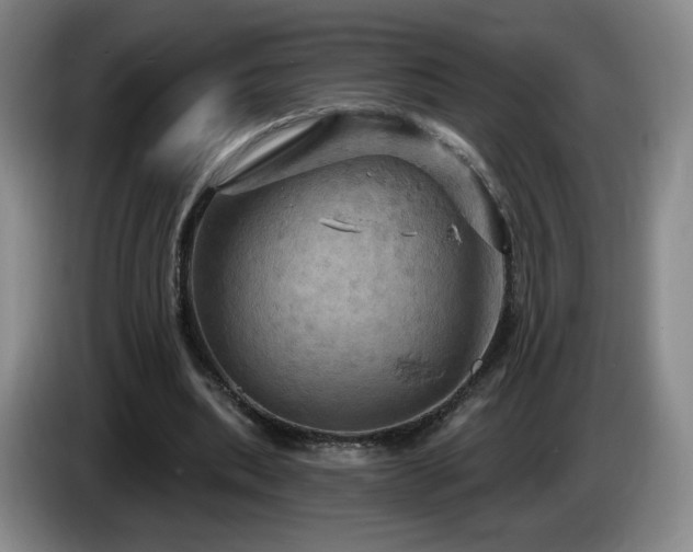 X0000085300439200703091436