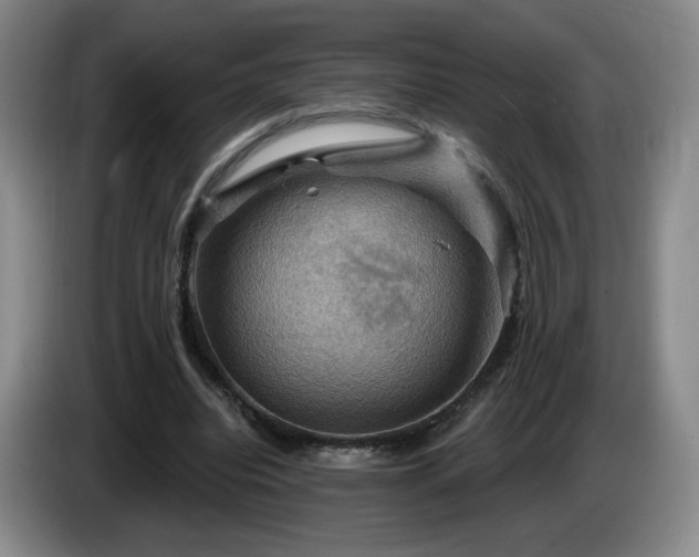 X0000085300440200703091436