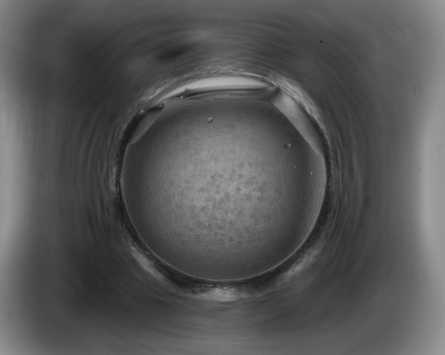 X0000085300441200703091436