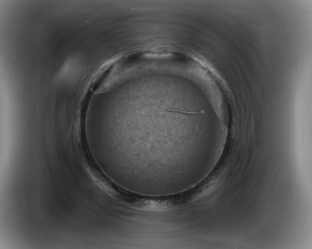 X0000085300442200703091436