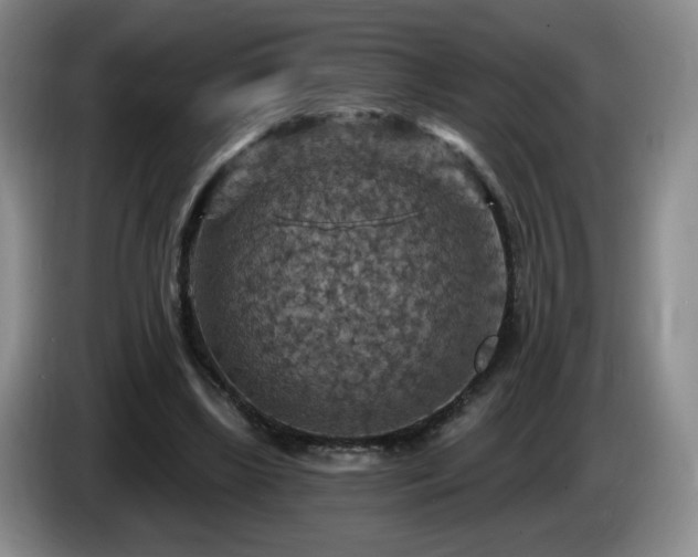 X0000085300443200703091436