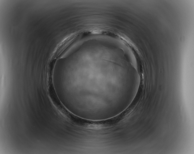 X0000085300444200703091436