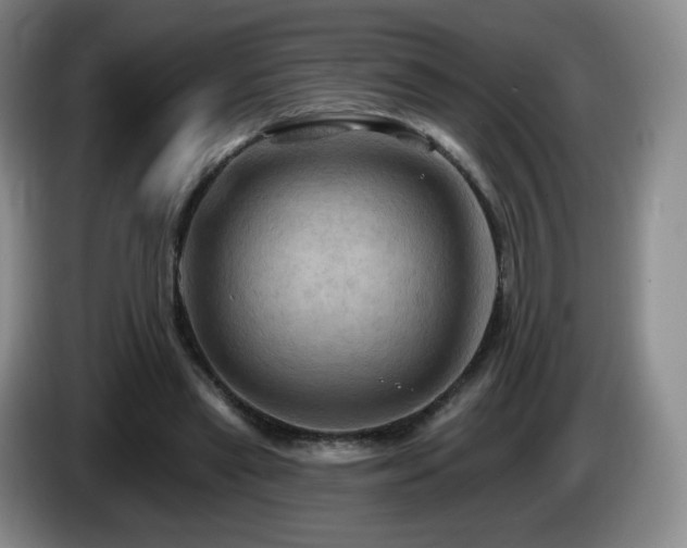 X0000085300445200703091436