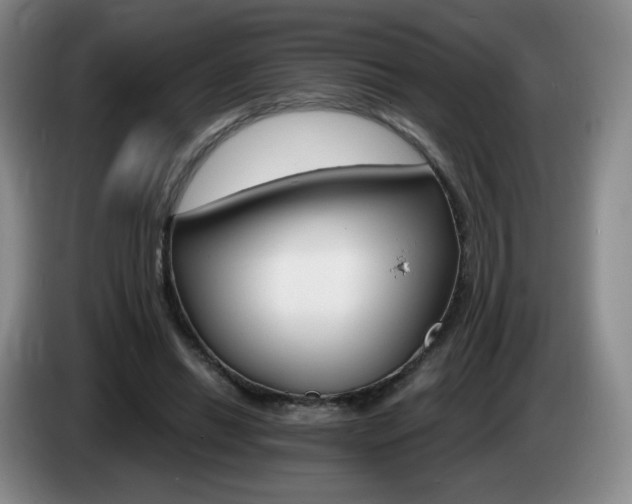 X0000085300446200703091436