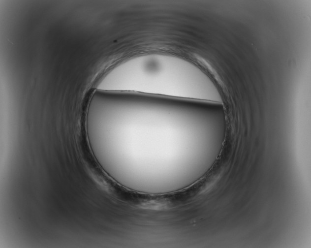 X0000085300447200703091436