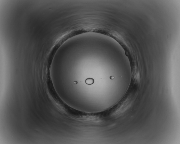 X0000085300448200703091436