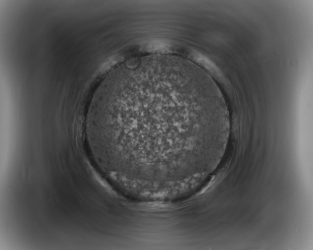 X0000085300449200703091436