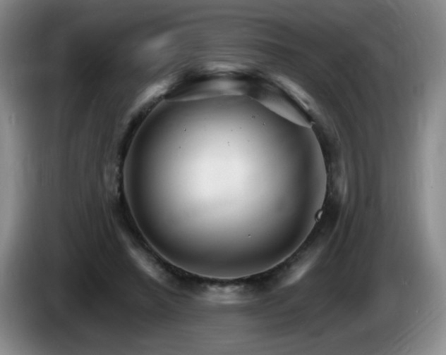 X0000085300450200703091436