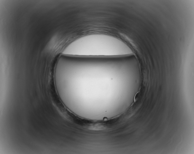 X0000085300451200703091436