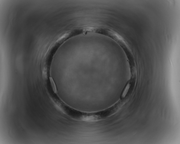 X0000085300452200703091436