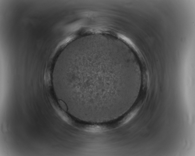 X0000085300453200703091436