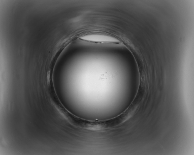 X0000085300454200703091436