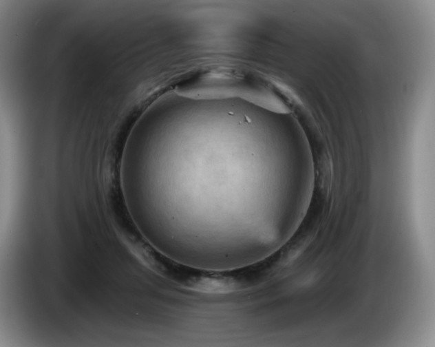 X0000085300455200703091436