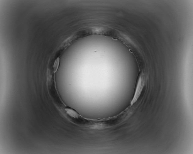 X0000085300456200703091436